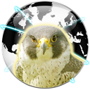 Falcon Private Browser