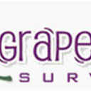 GrapeVine Surveys