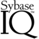 Sybase IQ