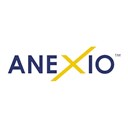 Business IT Solutions - ANEXIO