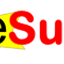 eSurv.org